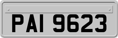 PAI9623