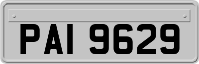 PAI9629