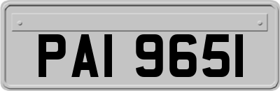 PAI9651