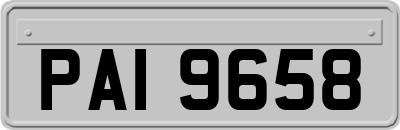 PAI9658