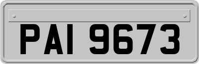 PAI9673