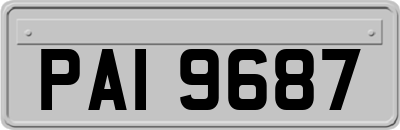 PAI9687