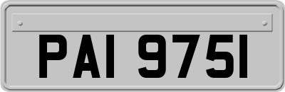 PAI9751