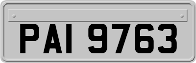 PAI9763