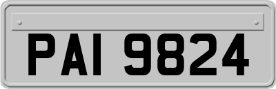 PAI9824