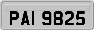 PAI9825