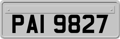 PAI9827