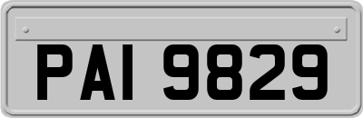 PAI9829