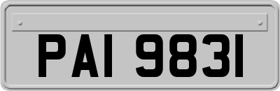 PAI9831