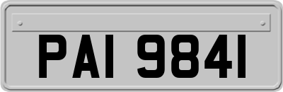 PAI9841