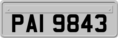 PAI9843