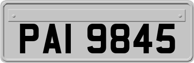PAI9845