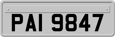 PAI9847
