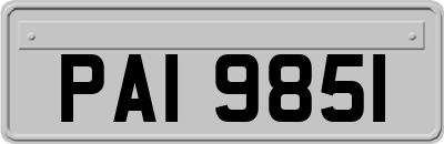 PAI9851