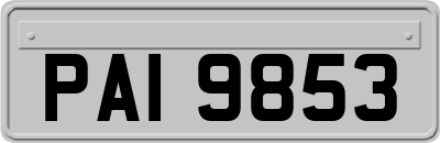 PAI9853
