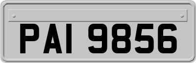 PAI9856