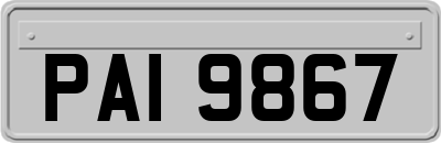 PAI9867