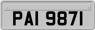 PAI9871