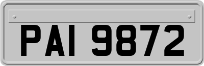 PAI9872