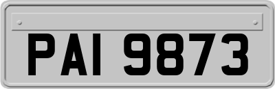 PAI9873