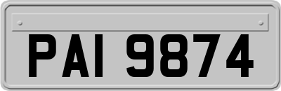 PAI9874