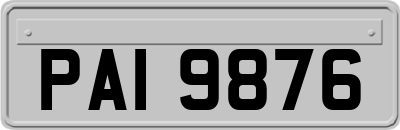 PAI9876