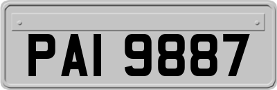 PAI9887