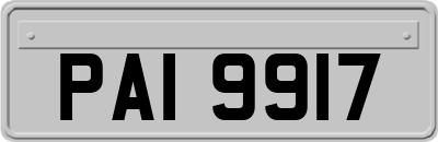 PAI9917
