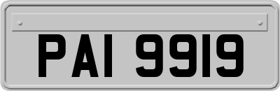 PAI9919