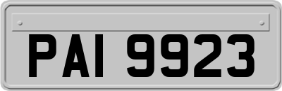 PAI9923