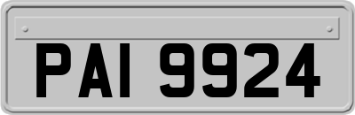 PAI9924