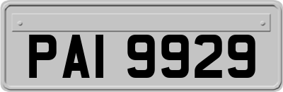 PAI9929