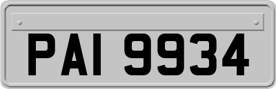 PAI9934