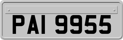PAI9955