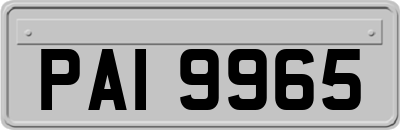PAI9965
