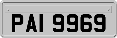 PAI9969