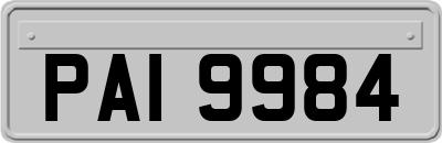 PAI9984