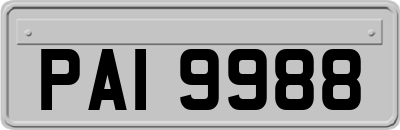 PAI9988