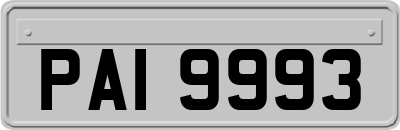 PAI9993