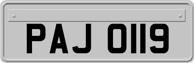 PAJ0119