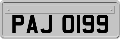 PAJ0199