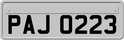 PAJ0223