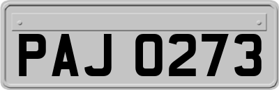 PAJ0273