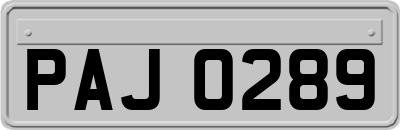 PAJ0289