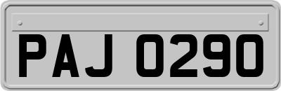 PAJ0290