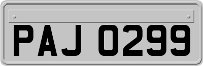 PAJ0299