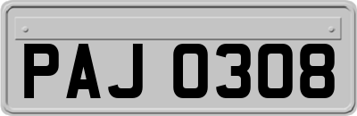 PAJ0308