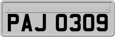 PAJ0309