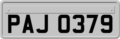 PAJ0379