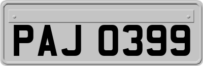 PAJ0399